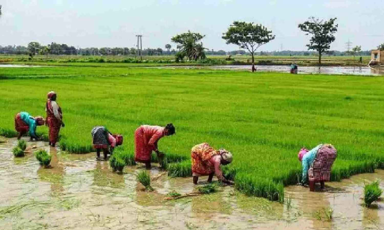 Protected Agricultural Area, Lok Sabha, Parliament