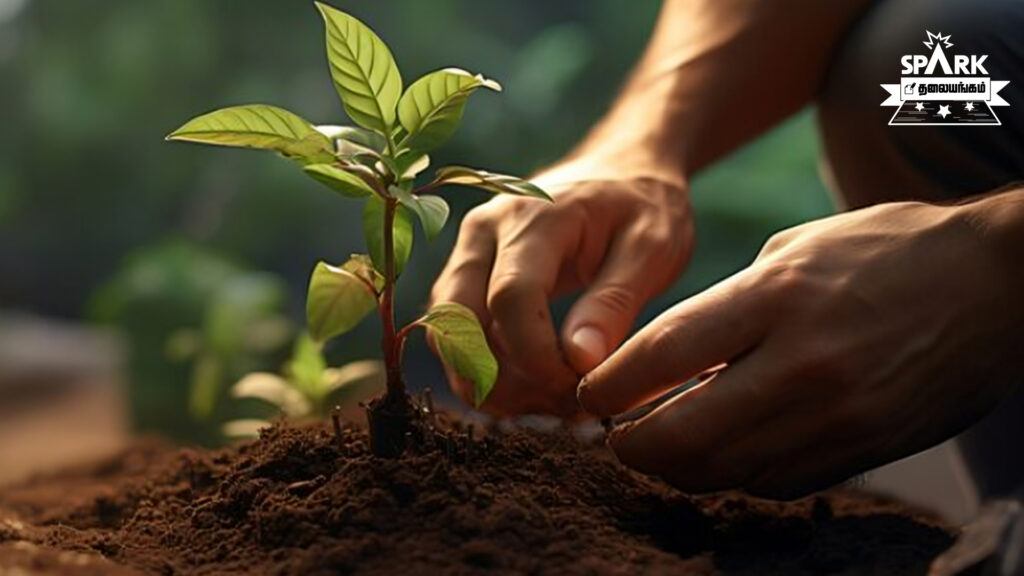 plant trees forest