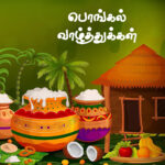 pongal