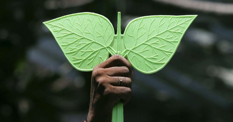 admk flag