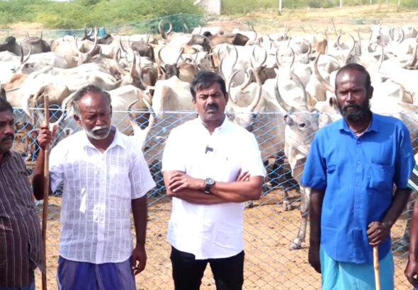seeman ntk aadu maadu maanadu