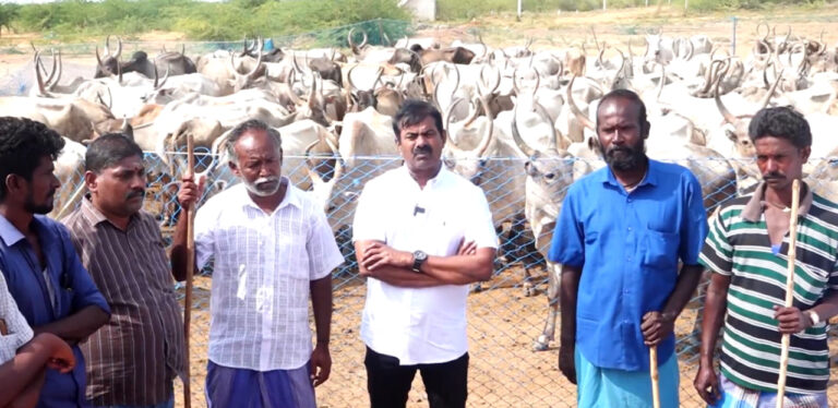 seeman ntk aadu maadu maanadu