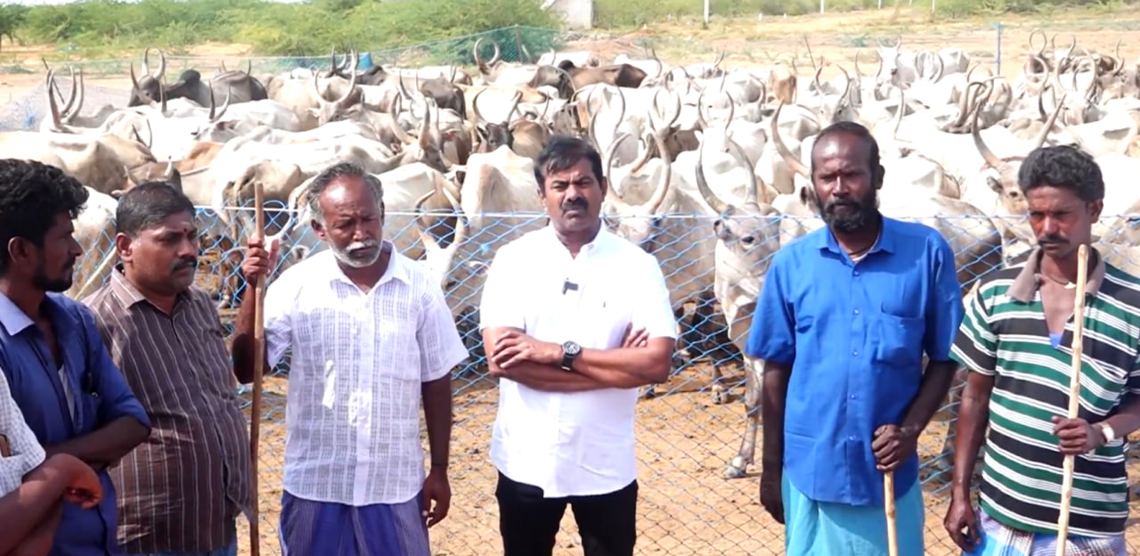 seeman ntk aadu maadu maanadu
