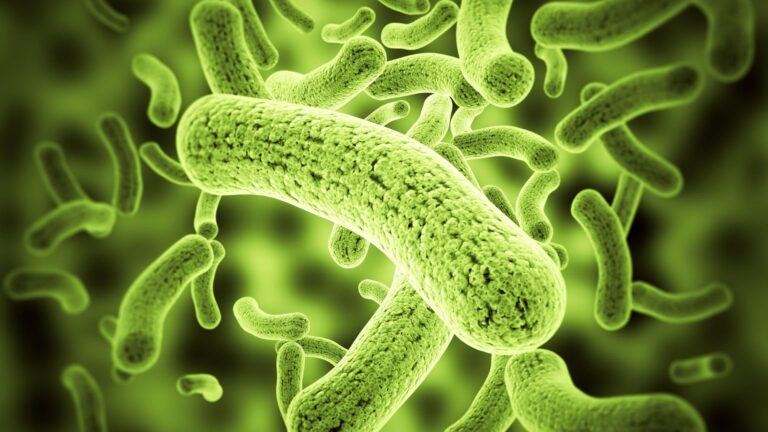 antibioticdiscovery-PremethylenomycinClactone-MethylenomycinA-antimicrobial-AMR-newmedicine-bacteriakiller-scientificbreakthrough-medicalresearch-WHO-report-antibioticinnovation