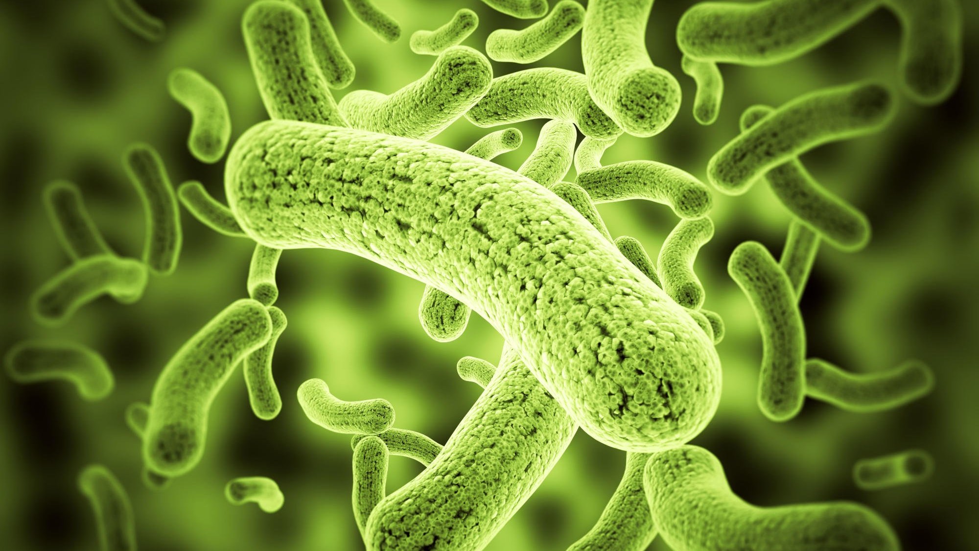 antibioticdiscovery-PremethylenomycinClactone-MethylenomycinA-antimicrobial-AMR-newmedicine-bacteriakiller-scientificbreakthrough-medicalresearch-WHO-report-antibioticinnovation