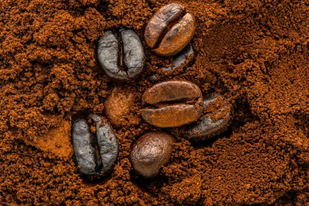 coffeepowder-to-concrete-australia-scientists-technology-sciencenews-scienceupdates-coffeewaste-biodegradable-waste-to-recycle-