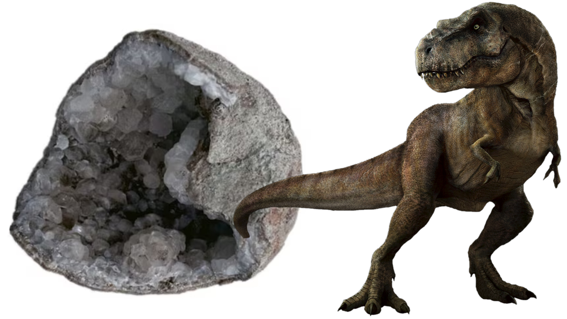 Ancient-dinosaur-foosil-egg-70million-year-old-shining-mystery-Crystals-found-inside-sceince-news