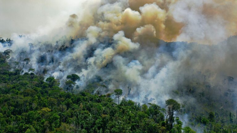 Amazon forests-face-hypertropical-conditions-scientists-say-due-to-global-warming-scincenews-worldnews-science