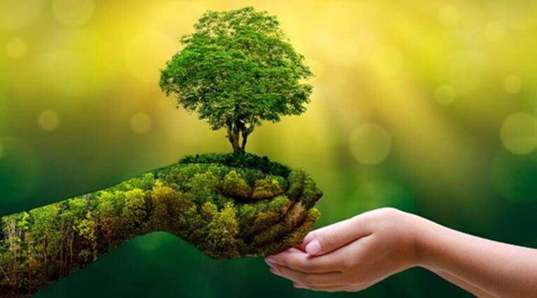 radar-climate-and-nature-wins-research-global-growth-world-news-tamil-news