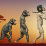 Homo-sapiens-specific-evolution-unveiled-ancient-southern-African-genomes-history-sceince-research-tamilnews-sciencenews