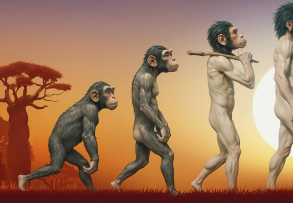 Homo-sapiens-specific-evolution-unveiled-ancient-southern-African-genomes-history-sceince-research-tamilnews-sciencenews