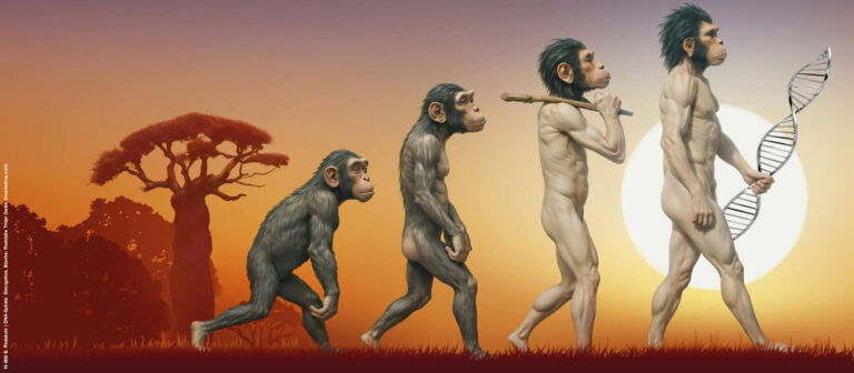 Homo-sapiens-specific-evolution-unveiled-ancient-southern-African-genomes-history-sceince-research-tamilnews-sciencenews