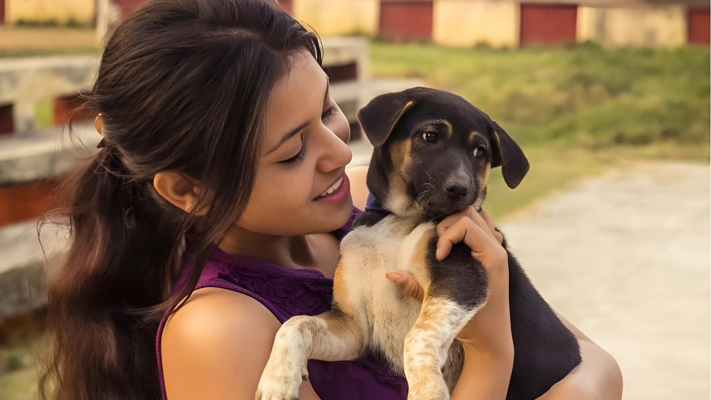 Pet Dogs-Dog Owners-Zoonotic Diseases-Rabies-Pet Care-Human Health-Hygiene Awareness