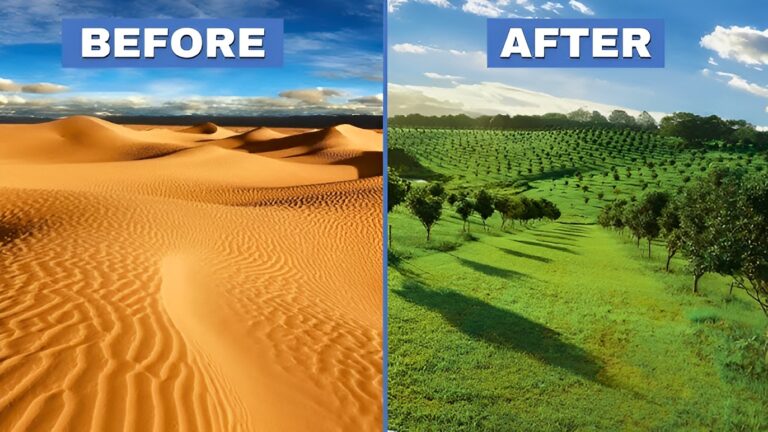 Deserts-Saudi-Arabia-green-revolution-oases-aims-to-1billion-trees