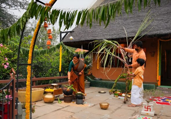 Tamil Civilization-Pongal Festival - Online Tamil News